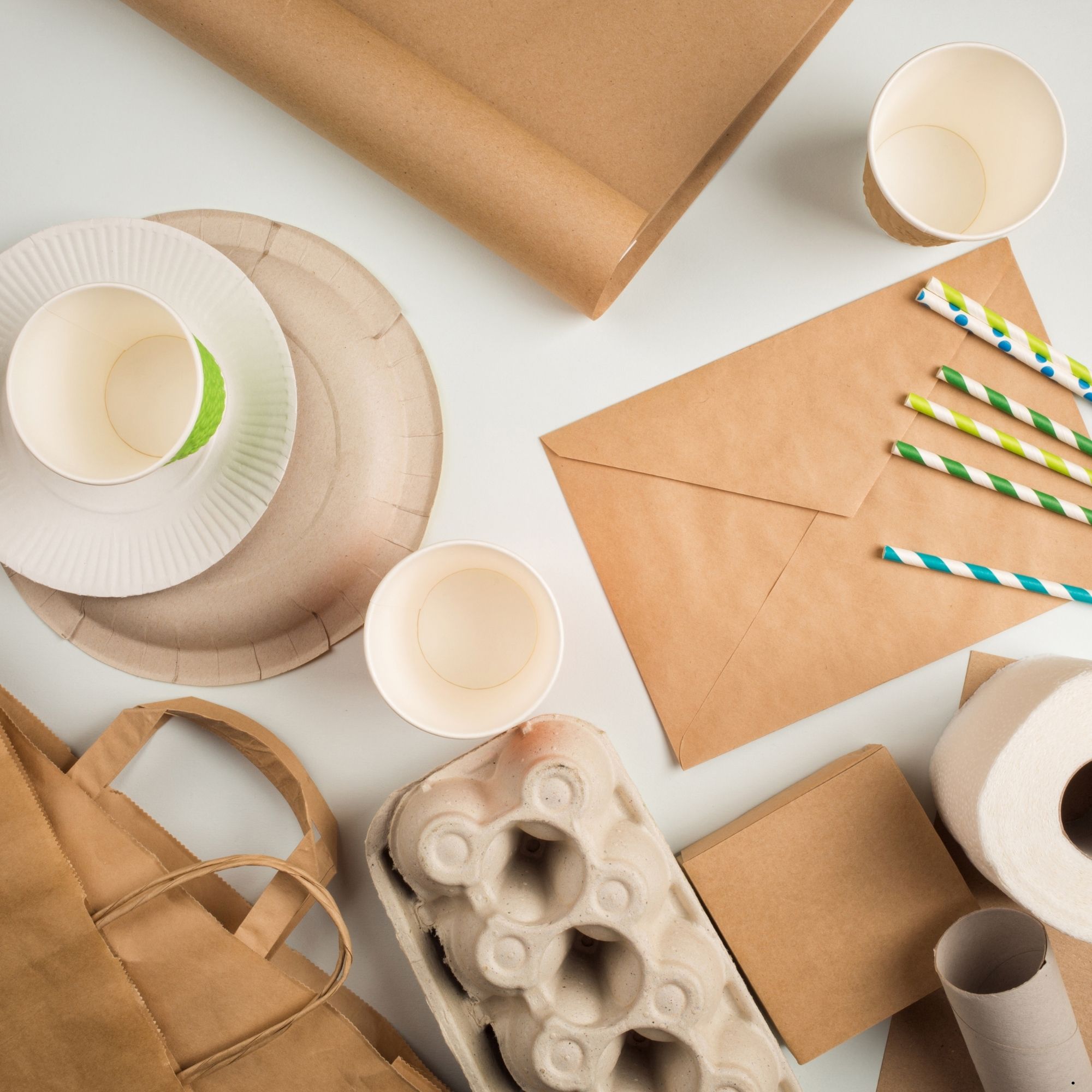 Innovative und umweltfreundliche Verpackungslösungen für Schutz, Transport und Präsentation von Produkten